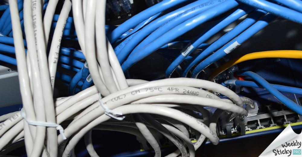 Wired for Life